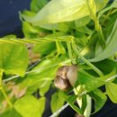 황진농장 이미지