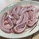 울산 중구 현지인 찐맛집 숯불 곰장어 태원수산산곰장어