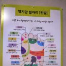 족향 이미지