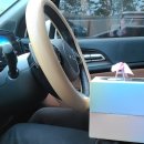 멍이냥식 이미지