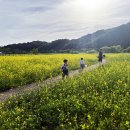 낙동 이미지