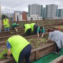 세류1동 행정복지센터 이미지