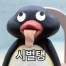 4080 이미지