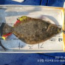 프로낚시 이미지