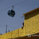 양지은농장 이미지