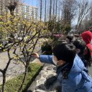 성락유치원 이미지