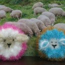 양수목장 이미지