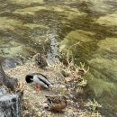 WR(서울특별시 강서구)-[마곡동로]-하-4 | 모두 즐거운 설날 보내세요~^o^(부제:광화문 맛집 후기 )