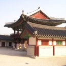 노리패