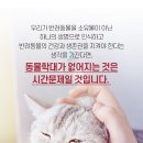 운정힐링동물병원 이미지