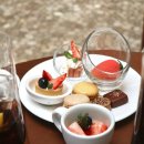 블랙코메디 오페라 버섯피자 | 파르나스제주 딸기뷔페 스트로베리가든 다녀온 후기 가격, 구성