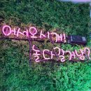 껌딱지펫 | 아이조아펫파크 용산점 후기│4개월 보더콜리 리안이랑 모찌 첫 만남