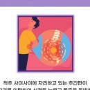 코끼리재활의학과의원 이미지