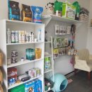 개폼나개 이미지