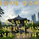 김판출 꽃을 노래한 시 2(들꽃처럼 살고 파라 외 5편) 이미지