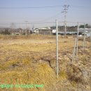 덕산 양계 이미지