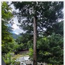 리즈밸리 이미지