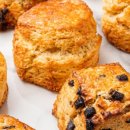 수원-1341 이미지