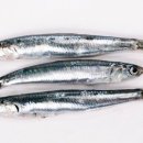 으뜸전복수산 이미지