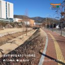 팔공산왕건길 8코스 이미지