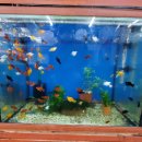 현대수족관 이미지