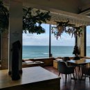 스테이솔 이미지