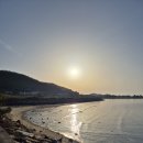 등나무집민박 이미지