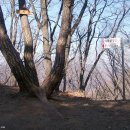 광주004 Daum카페