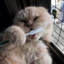 서울S치과의원 이미지