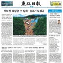 반월태양광발전소 이미지