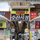 푸른수산횟집 | 주문진회포장 민자횟집 수산시장 모듬회 포장 후기
