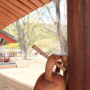 신월마을 이미지