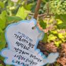 한스델리 서산점 | 서울) 건국대학교병원 아데노이드비대증&amp;편도절제술 (24.07.18)