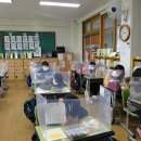 도척초등학교 이미지