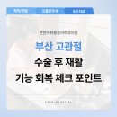 돌고래마취통증의학과의원 | 부산 고관절 수술 후 재활, 기능 회복에서 확인할 점