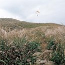 천관산주유소