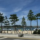 일산지미스공조개구이&해산물 | 울산일산지 조개구이맛집 치즈무한리필까지 가능한 일산지 미스공 조개구이&해산물