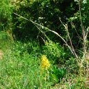 청수목장 이미지