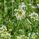 문양낚시터 이미지