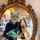 함양집 1호점 | [경주 여행] 1박2일 코스 (내돈내산)