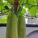 (주)해솔 | 대전작명소 - 해솔작명원 우리아기 작명 해솔작명원 후기!!!
