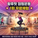내몸엔점핑 | 연경동헬스장 추천 황후핏점핑에서 바뀐 내 몸,10일 후기 ㅎㅎ