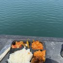 릴링크컴퍼니 | 보령 오천항 까치선장 자이언트호 광어다운샷, 외수질낚시 조행기(26.05.17)