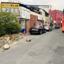 육회왕자연어공주 이미지