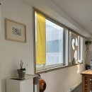 산새도 | [압구정 신상 카페] 아이와 함께 다녀온 햇살 가득한 공간, ‘산새코에’ 평일 웨이팅 후기