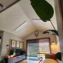 베일리하우스애견펜션 이미지