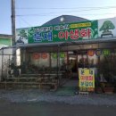 남산분재예술원 이미지