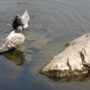 부천터미널소풍 이미지