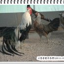 계두농장 이미지