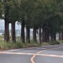 죽동마을 이미지